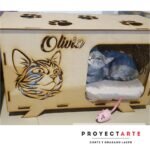 Casita para gato o perro