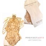 Anatomia Humana IDEAL COLEGIOS