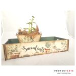 Bandeja con macetita