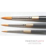 pincel serie 120 nº10