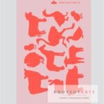 Stencil Animales de la granja