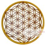 Mandala flor de la vida