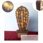 Cactus LED