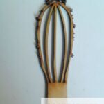 Cactus largo