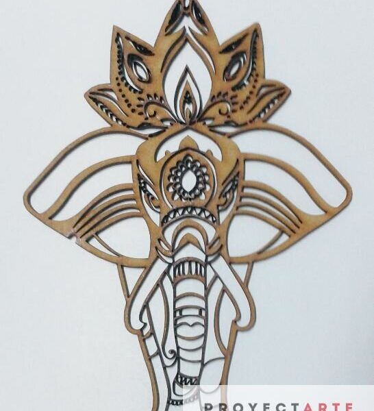 Elefante Africano Hembra