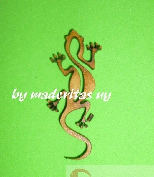 iguana