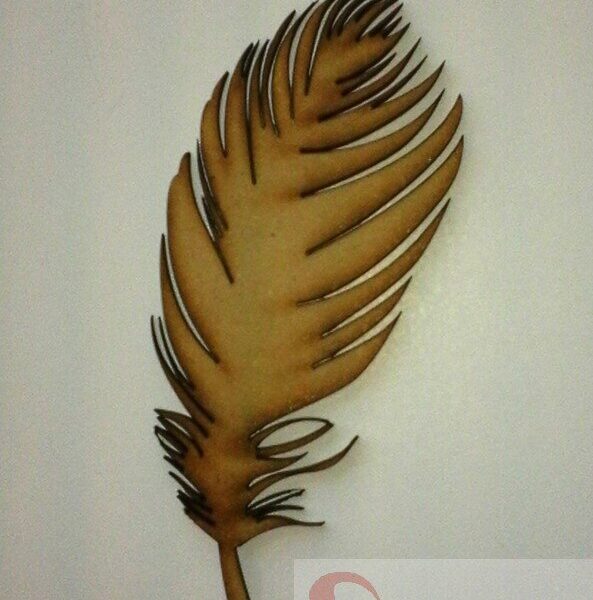Pluma n°1