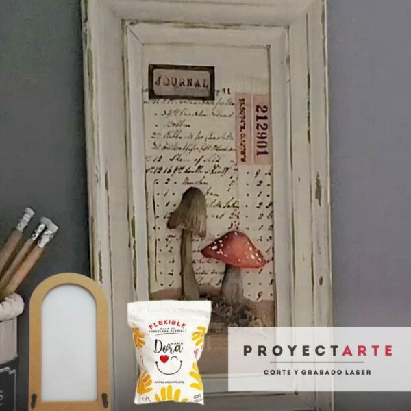 Kit Proyecto cuadrito de hongos
