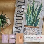 Kit proyecto cuadro plantas 3d