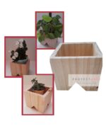 Trío de macetas muelita - Image 3