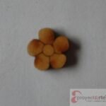 flor con centro pequeño