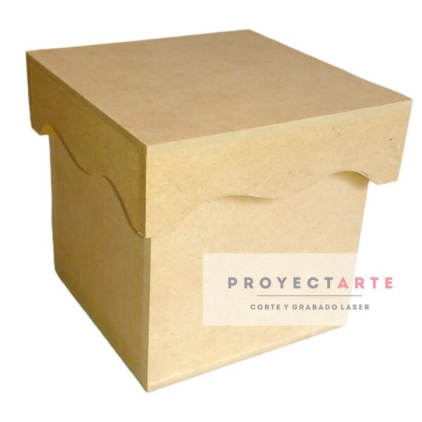 Caja capuchón chica 10x10x10 5mm