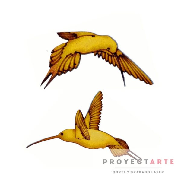 Pareja colibríes